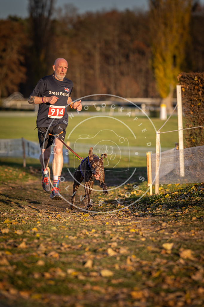 CaniXpix_DV3A4811 | Hundefotografie, Tierfotograf, Pfotenfotografie, Fotoshooting Hund, Hunde Portrait, Hundesport, Hundeportraits, Heideshooting, Hunde, Sportfotograf, Hundefotograf, Turnierhundsport, THS,  - Realisiert mit Pictrs.com