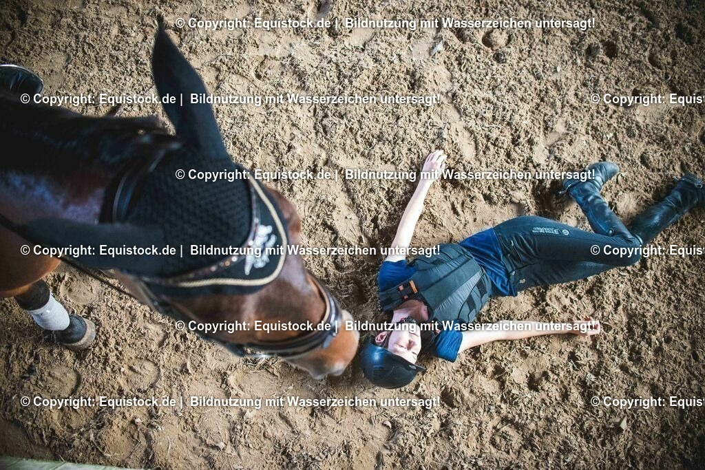 20190811_Sturzweste_0039 | equistock