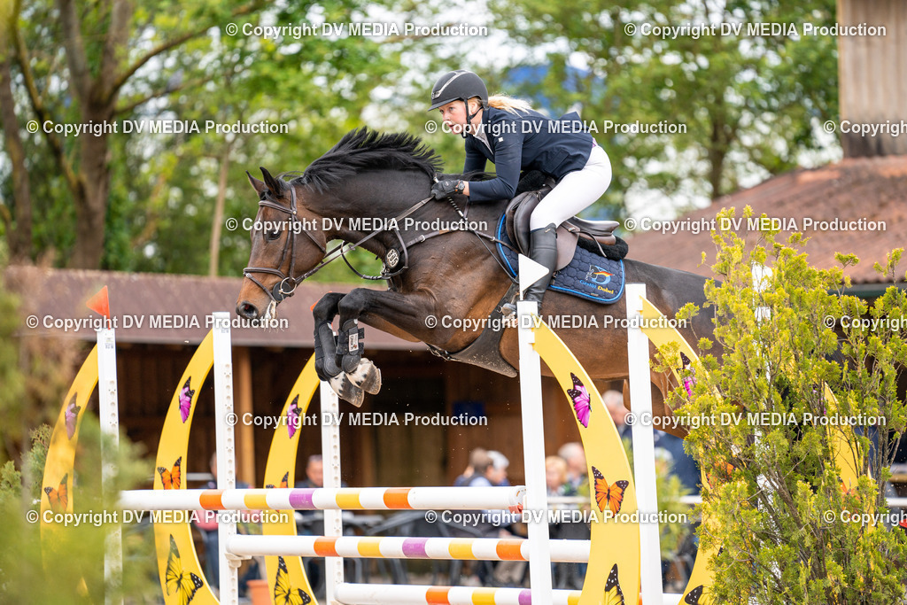 Eppelheim Tag 1-118 | dv-media-shop - Realisiert mit Pictrs.com