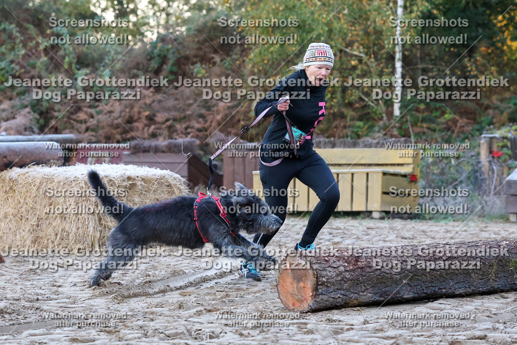 Dog Paparazzi - Strongdog 10-25-24 | Dog Paparazzi Jeanette Grottendiek Fotografie & Videografie - Realisiert mit Pictrs.com