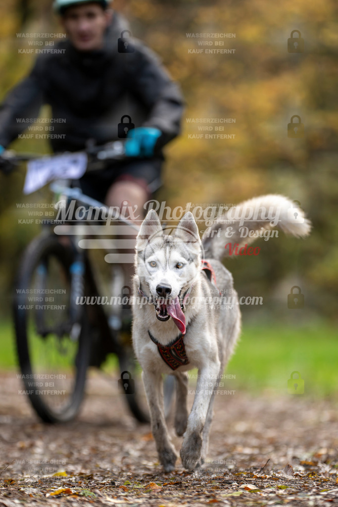 MompixPhotography_Bischwiller23_Bike-19 | PayLife