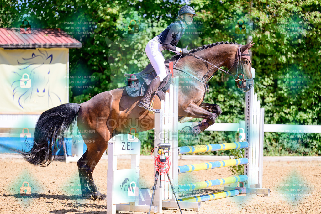 29082026-Giesenbach-Prfg10-0502 | Fokus Hufschlag Fotografie - Realisiert mit Pictrs.com
