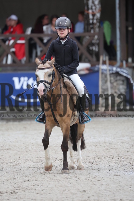 Ichenheim_2024_Prfg.Nr.26_Stilspring-WB_60cm_Frida Veil_Ulbargens EDISON (2) | Alle Fotos der Reiterjournal Fotografin Doris Matthaes im Reiterjournal Online-Fotoshop. - Realisiert mit Pictrs.com