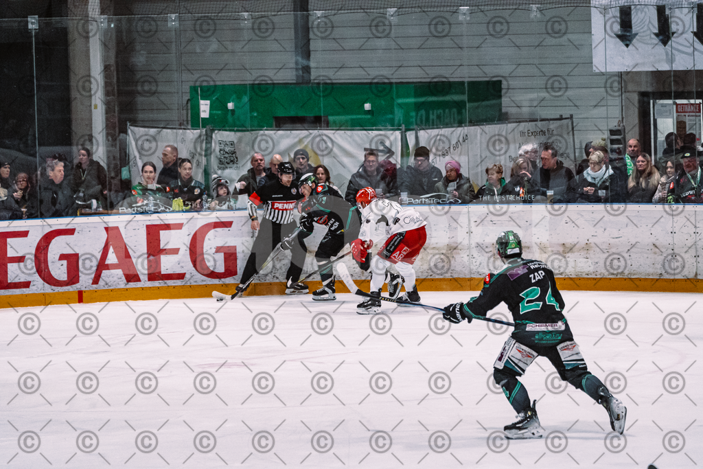 Alligators_vs_Hannover_PO_10_03_2026-22 | Höchstadt Alligators Fotogalerie: Eishockey-Action aus Franken. Professionelle Spielfotos, Portraits & Stadionbilder zum Download. Jetzt entdecken! - Realisiert mit Pictrs.com