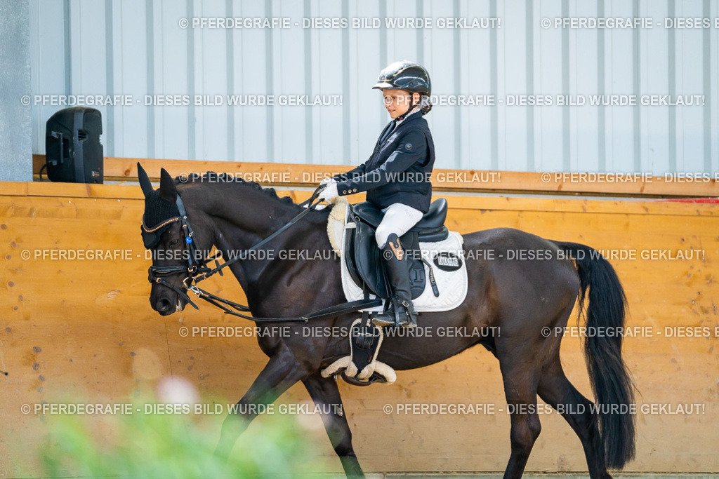 DSC08982 | Pferdegrafie