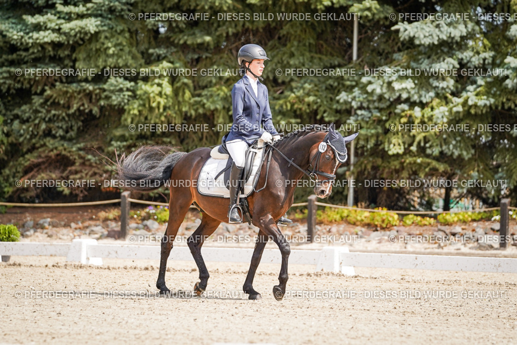 DSC02462 | Pferdegrafie