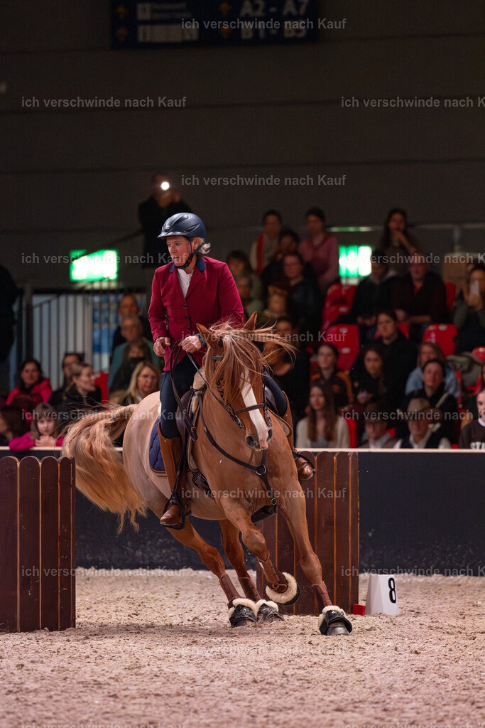 JoseraCup-153 | working equitationturnier fotograf videograf stoibphotography marixx film working equitation deutschland reitsport turnierfotografie eventfotografie equestrian events