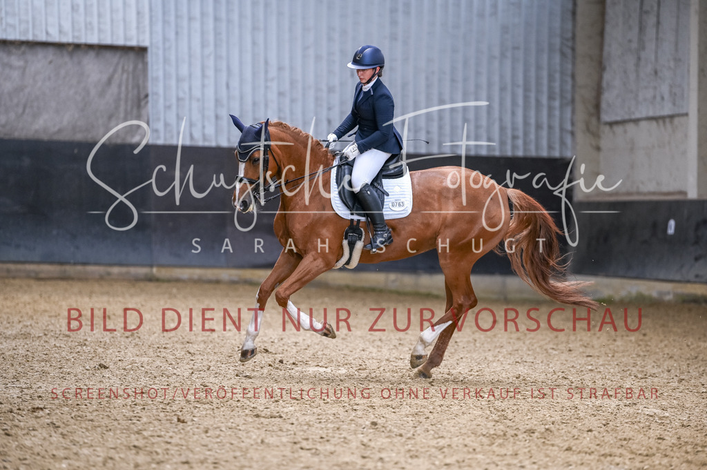 Schugtsche-Aluta25-57.Dressurprf.M1Kand-209 | Schugtsche Fotografie - Realisiert mit Pictrs.com