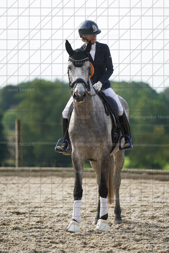 20230826-FAH04581 | Forstinning, 2023, Dressurturnier, Turniersportbilder, Turnierfotografen Bayern, Fotoagentur Herrmann, Reitsportfotografie, Turnierbilder