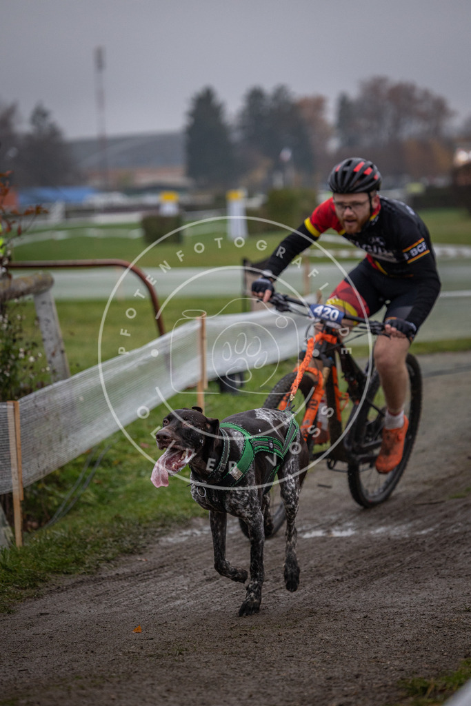 CaniXpix_0L8A1621 | Hundefotografie, Tierfotograf, Pfotenfotografie, Fotoshooting Hund, Hunde Portrait, Hundesport, Hundeportraits, Heideshooting, Hunde, Sportfotograf, Hundefotograf, Turnierhundsport, THS,  - Realisiert mit Pictrs.com