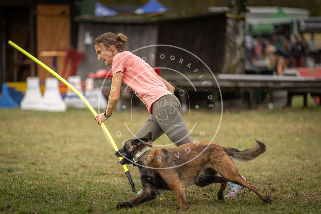 Pfotenfotografie_DV3A7360 | Hundefotografie, Tierfotograf, Pfotenfotografie, Fotoshooting Hund, Hunde Portrait, Hundesport, Hundeportraits, Heideshooting, Hunde, Sportfotograf, Hundefotograf, Turnierhundsport, THS,  - Realisiert mit Pictrs.com