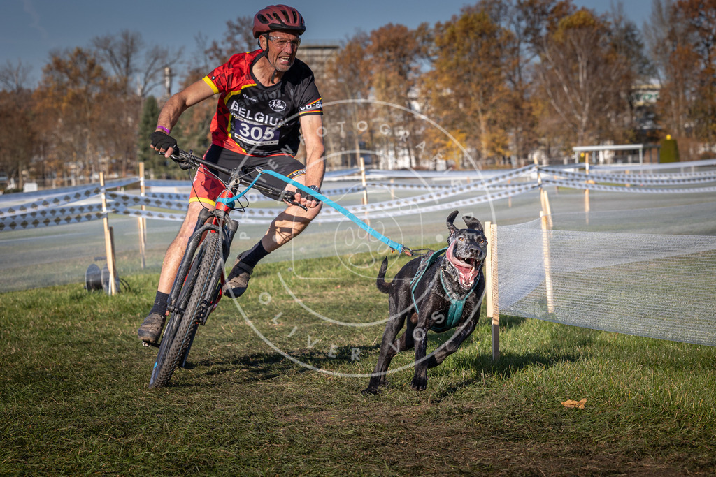 CaniXpix_0L8A5498 | Hundefotografie, Tierfotograf, Pfotenfotografie, Fotoshooting Hund, Hunde Portrait, Hundesport, Hundeportraits, Heideshooting, Hunde, Sportfotograf, Hundefotograf, Turnierhundsport, THS,  - Realisiert mit Pictrs.com