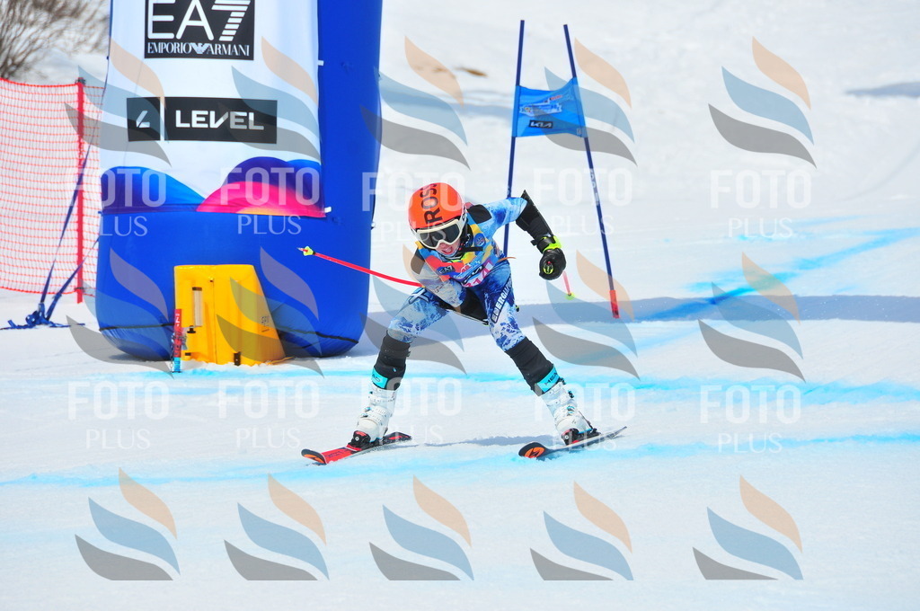 DSC_6668 | holidayphoto