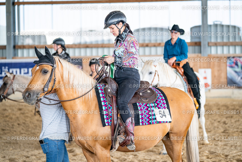 DSC09393 | Pferdegrafie