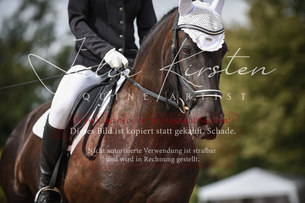 DSC_8586 | Pferde- und Turnierfotografie in Westsachsen. Pferdeportraits, Auftragszeichnungen und intuitive Kunst.