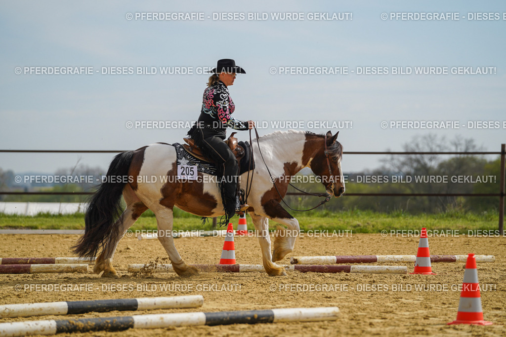 DSC02120 | Pferdegrafie