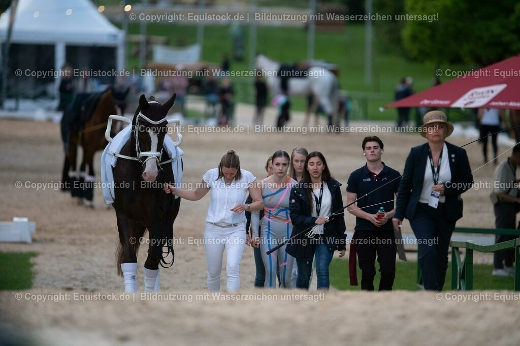 20230527_Voltigieren_NASPA_Flutlicht_0015 | equistock