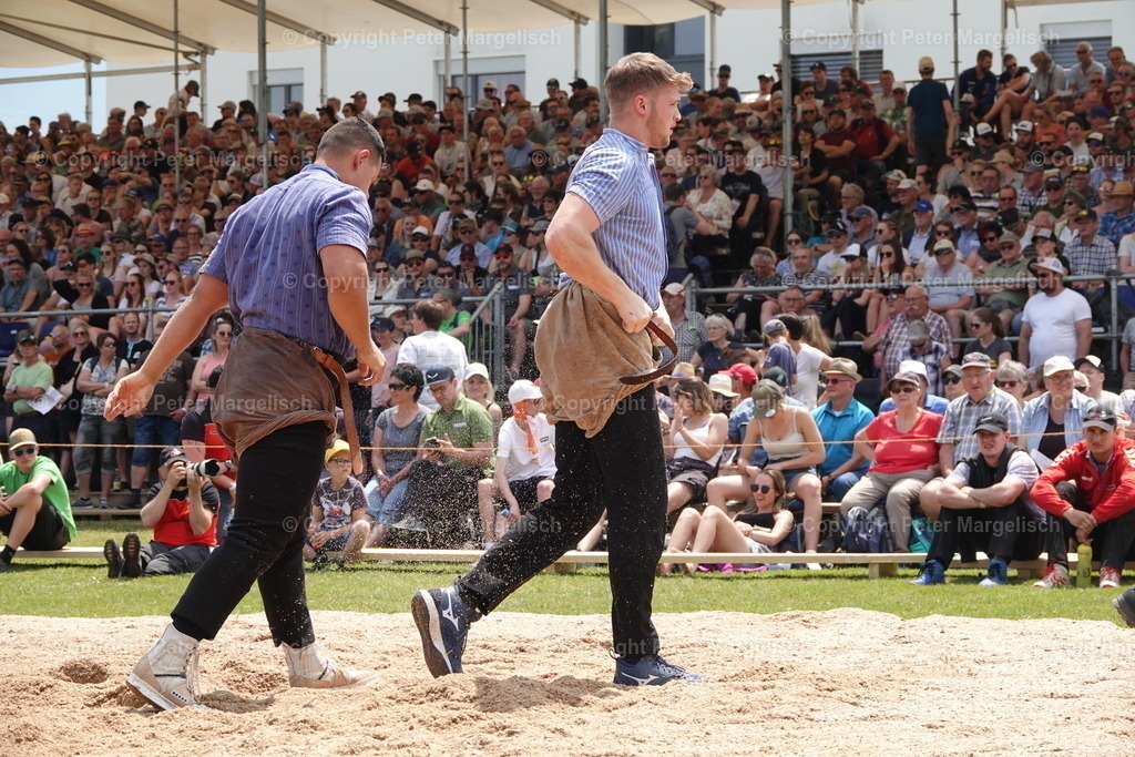 DSC04578 | Schwingen - Realisiert mit Pictrs.com