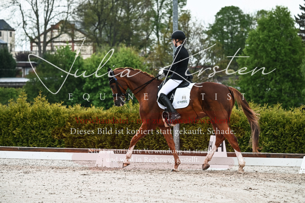 DSC_4271 | Pferde- und Turnierfotografie in Westsachsen. Pferdeportraits, Auftragszeichnungen und intuitive Kunst.