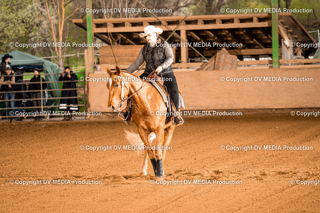 BAL01057 | dv-media-shop - Realisiert mit Pictrs.com