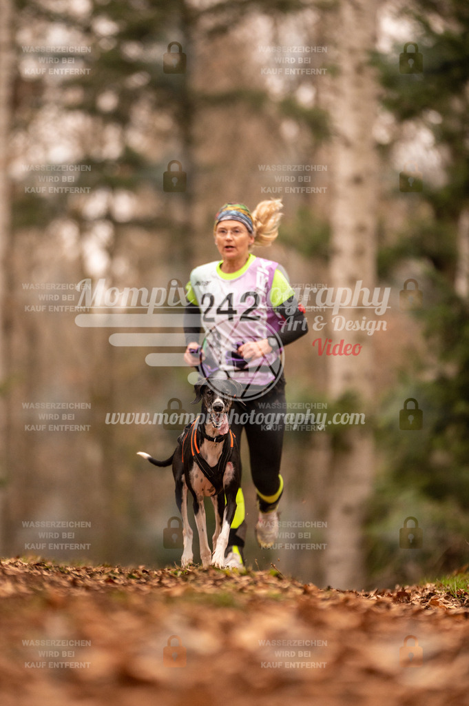 AKM_ST_2023_SAM_Run-99 | PayLife