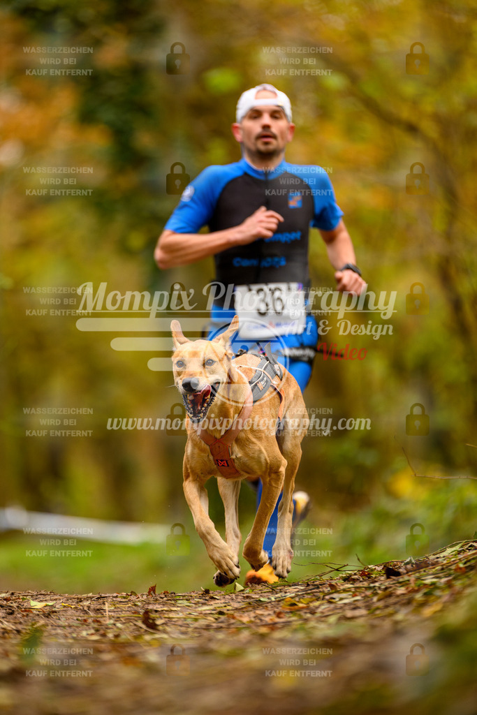 MompixPhotography_Bischwiller24_SA_Canicross-14 | PayLife