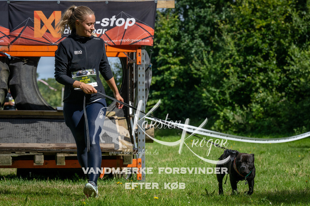 1108_ZZ91946 | kk-dogfotos