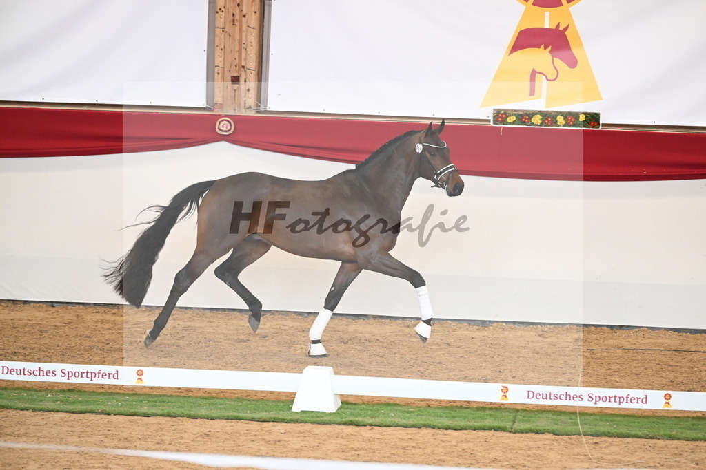 Kat.-Nr. 64 v. Fürst Zonik PS_Raedecke_2250562 | hf-fotografie - Realisiert mit Pictrs.com