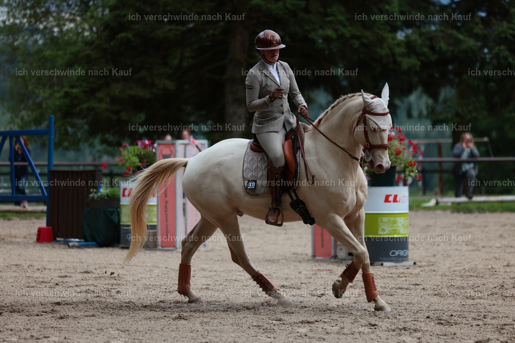 Masterclass_stoibphotography_C2_L6897.JPG | working equitationturnier fotograf videograf stoibphotography marixx film working equitation deutschland reitsport turnierfotografie eventfotografie equestrian events