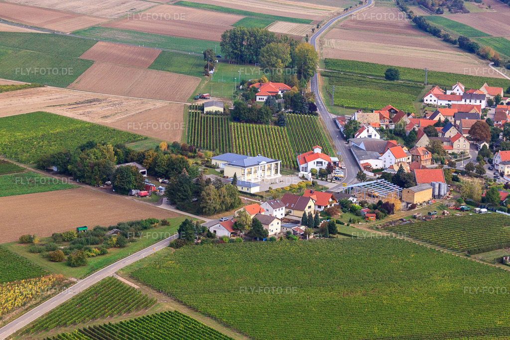 Luftbild: Donnersbergstr in Hangen-Weisheim im Bundesland Rheinland-Pfalz in Deutschland. Foto: IMG_21685.jpg vom 09.10.2009 durch Werner Riehm/FLY-FOTO.de