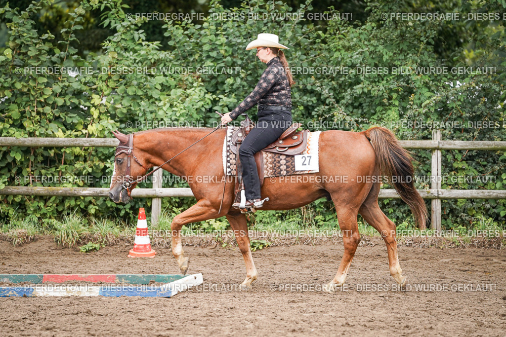 DSC03005 | Pferdegrafie