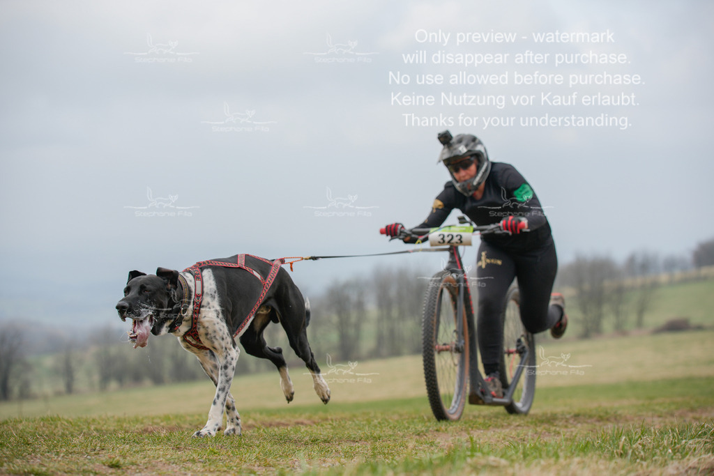 ScooterSA-126 | stephaniefillaphotographie - Realisiert mit Pictrs.com