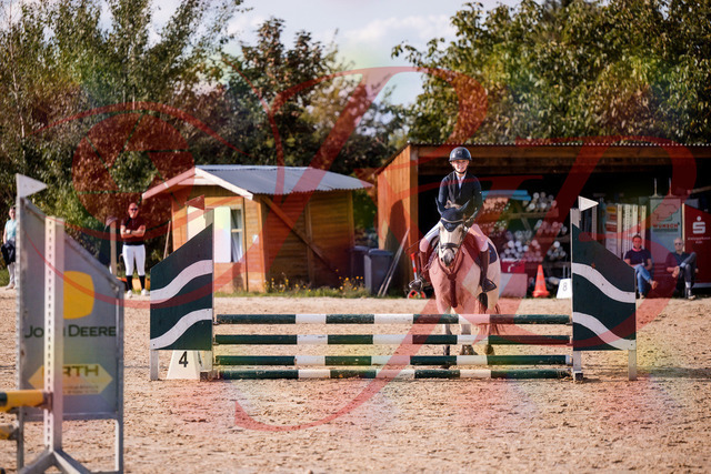 2026_10_03_Siefer-Hof_154519_Z81_63590425 | Professionelle Reitsport-, Turnier- und Eventfotografie von Robert Broda. Galerien mit ausgewählten und bearbeiteten Bildern direkt online ansehen und bestellen.