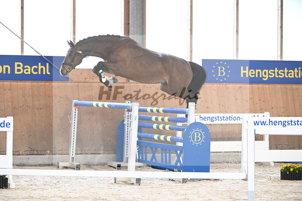 Kat-Nr. 8 nn v. Vigaro_Rau_5251231 | hf-fotografie - Realisiert mit Pictrs.com