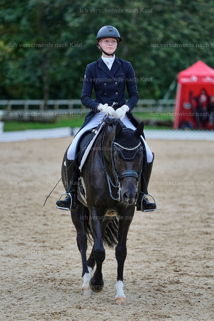 8_1-212-Klasse S_  -StoibPH-3944 | working equitationturnier fotograf videograf stoibphotography marixx film working equitation deutschland reitsport turnierfotografie eventfotografie equestrian events