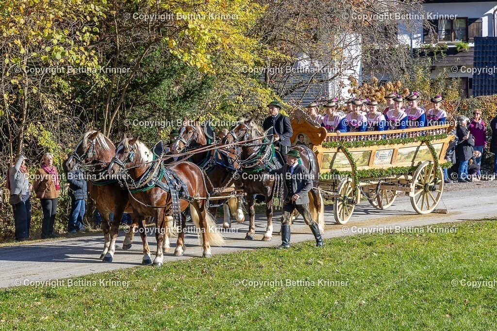 LBT25-818 | foto-bettina-krinner - Realisiert mit Pictrs.com