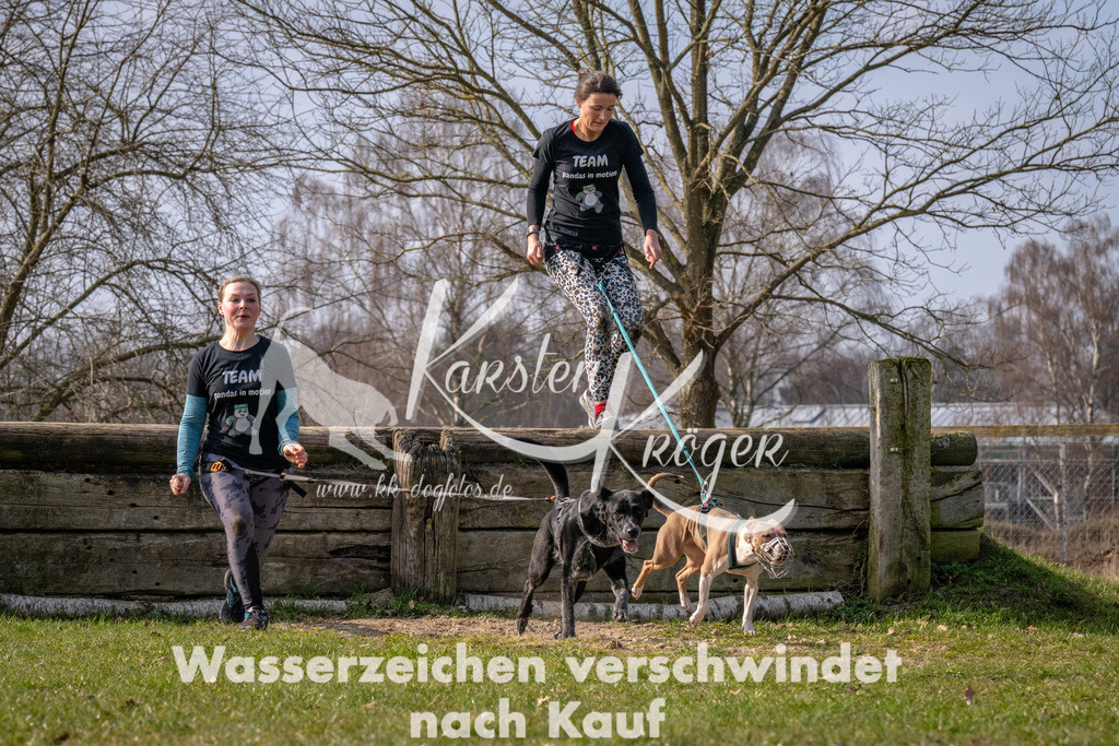 _ZZ90575 | kk-dogfotos