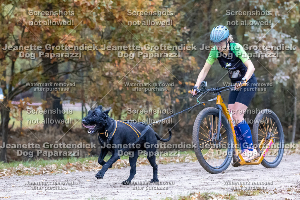 Dog Paparazzi - SD CaniX Championship 2025-182 | Dog Paparazzi Jeanette Grottendiek Fotografie & Videografie - Realisiert mit Pictrs.com