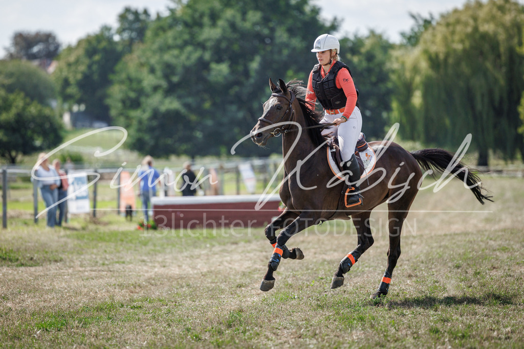 20260905-_3LI9671 | Tierfotografie Pferde, Hunde, Katzen, Haustiere.
Turnierfotografie Reitturniere, Reiten, Springreiten, Dressur in Hanau, dem Main-Kinzig-Kreis und dem Rhein-Main- Gebiet um Frankfurt