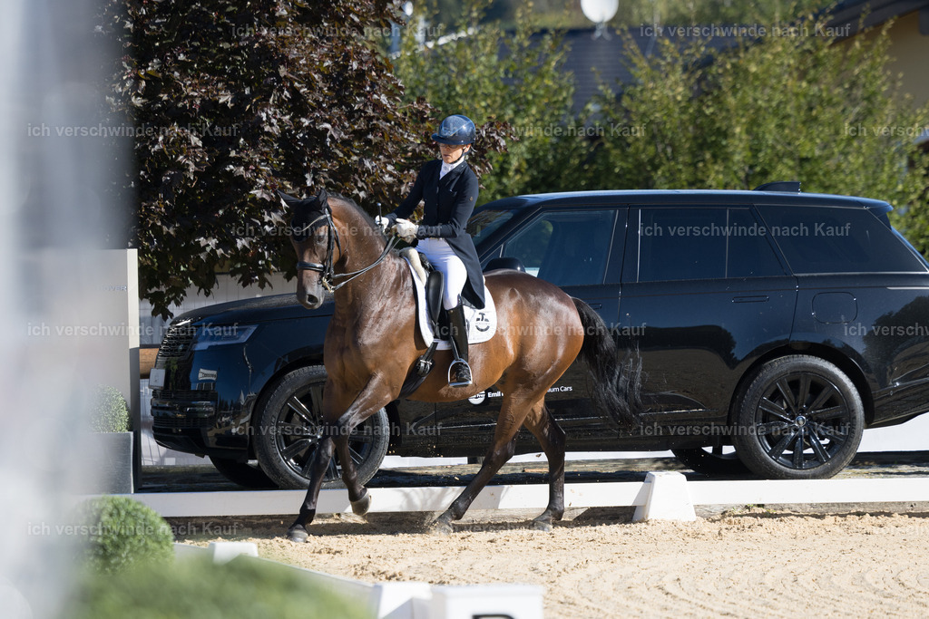 FHC2026_P07_238_17207 | working equitationturnier fotograf videograf stoibphotography marixx film working equitation deutschland reitsport turnierfotografie eventfotografie equestrian events