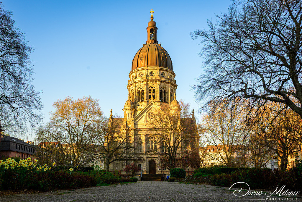 DSC_6777 | Fotografien, Fotos und Bilder aus Mainz, Frankfurt, Wiesbaden und anderen Orten auf der Welt - Fotografiert von Darius Metzner