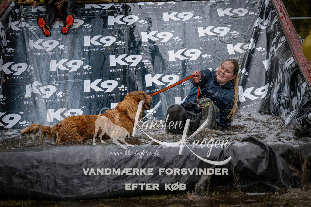 1230_ZZ90078 | kk-dogfotos