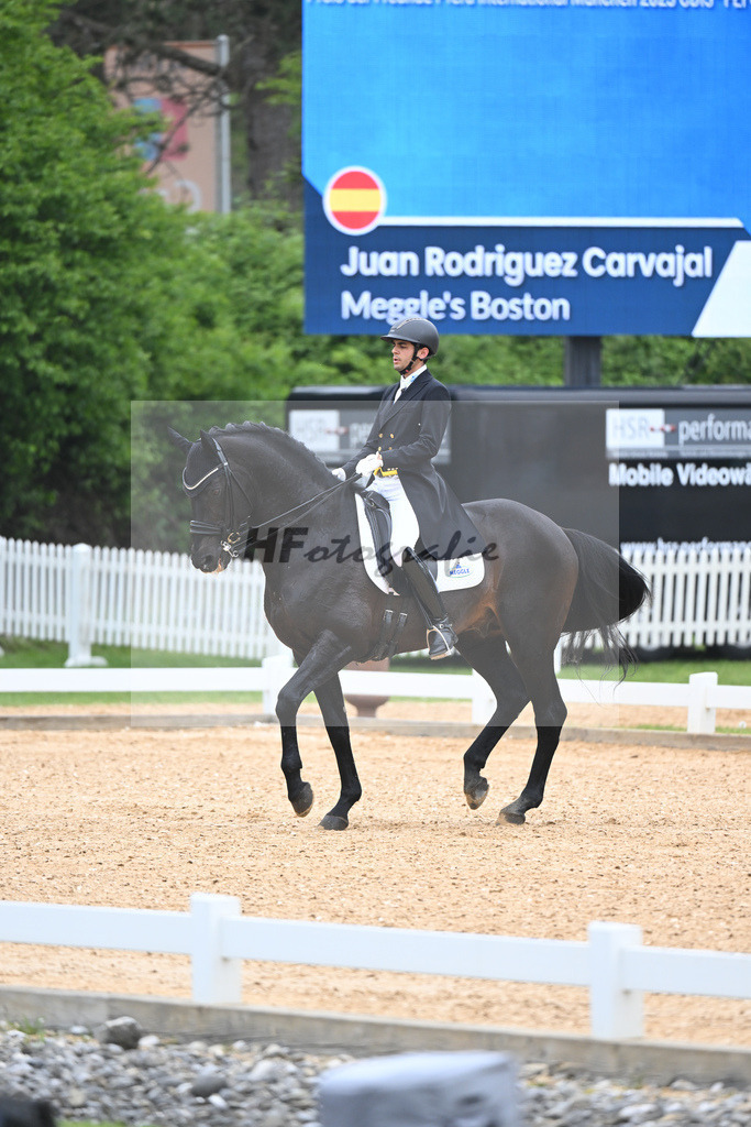 Carvajal_Meggles Boston_11232298 | hf-fotografie - Realisiert mit Pictrs.com