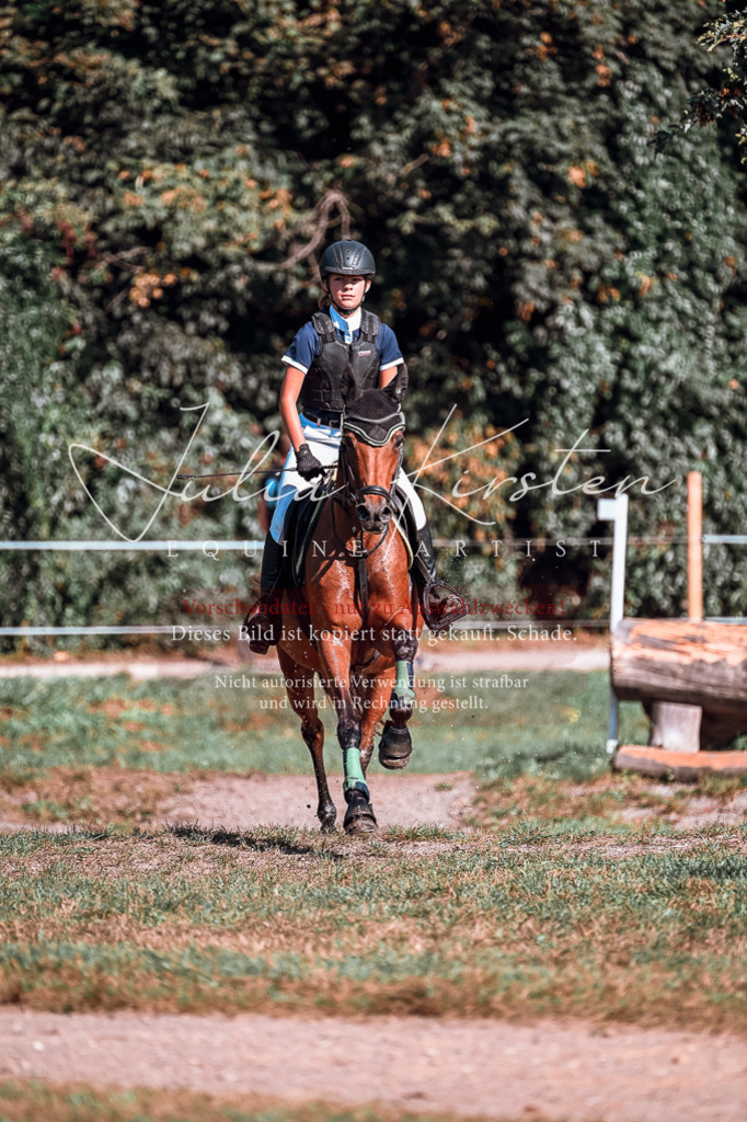 DSC_0975 | Pferde- und Turnierfotografie in Westsachsen. Pferdeportraits, Auftragszeichnungen und intuitive Kunst.