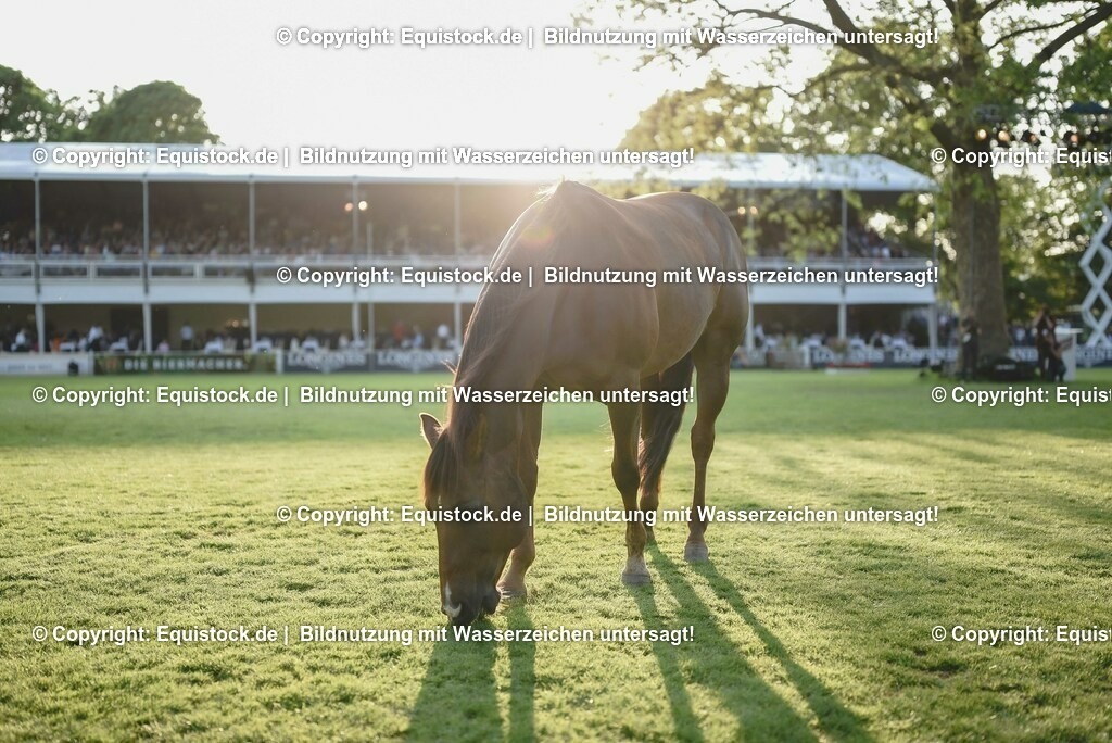 20230526_Impressionen_0346 | equistock