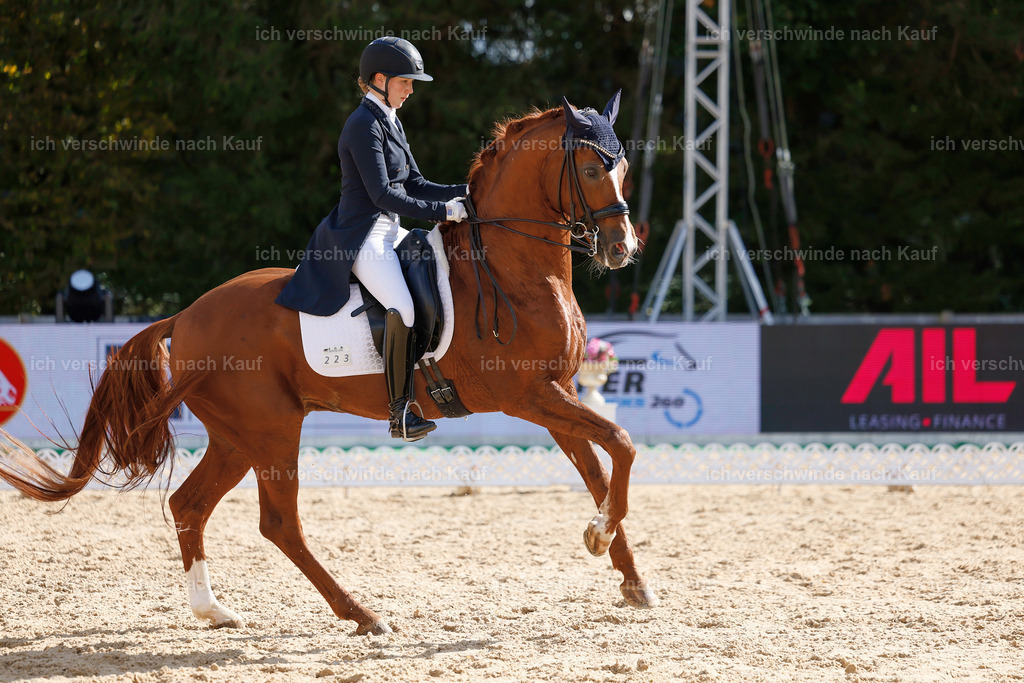 09_2-223-DRESSUR  S_  -StoibPH-5799 | working equitationturnier fotograf videograf stoibphotography marixx film working equitation deutschland reitsport turnierfotografie eventfotografie equestrian events
