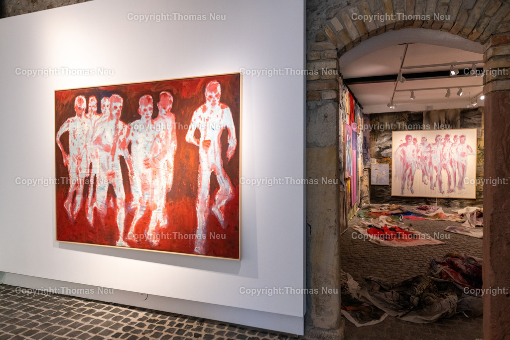 DSC_6185 | Bensheim, Museum der Stadt, Ausstellung „The last Party of Diversity“ im Museum Bensheim zeigt Werke des Künstlers Andrej Dúbravský, Bild: Thomas Neu