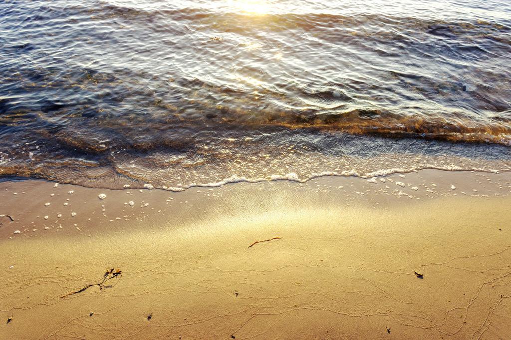 Wandbild: Goldene Wellen im Morgenlicht | Der frühe Morgen legt ein warmes, weiches Leuchten über den Strand, während kleine Wellen ruhig anrollen und das Licht im feuchten Sand glitzert. Feine Bläschen und zarte Wasserränder zeichnen sich an der Kante des Wassers ab und verleihen der Szene eine natürliche Leichtigkeit. Die Stimmung wirkt klar, frisch und zugleich wohltuend ruhig – ein stiller Küstenmoment, der die besondere Wärme und Reinheit eines neuen Tages an der Ostsee einfängt. Dieses Wandbild bringt eine harmonische, elegante Natürlichkeit in jeden Wohnraum. - Realisiert mit Pictrs.com