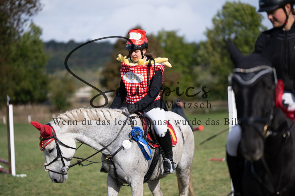 A7V06599 | Pferdefotograf