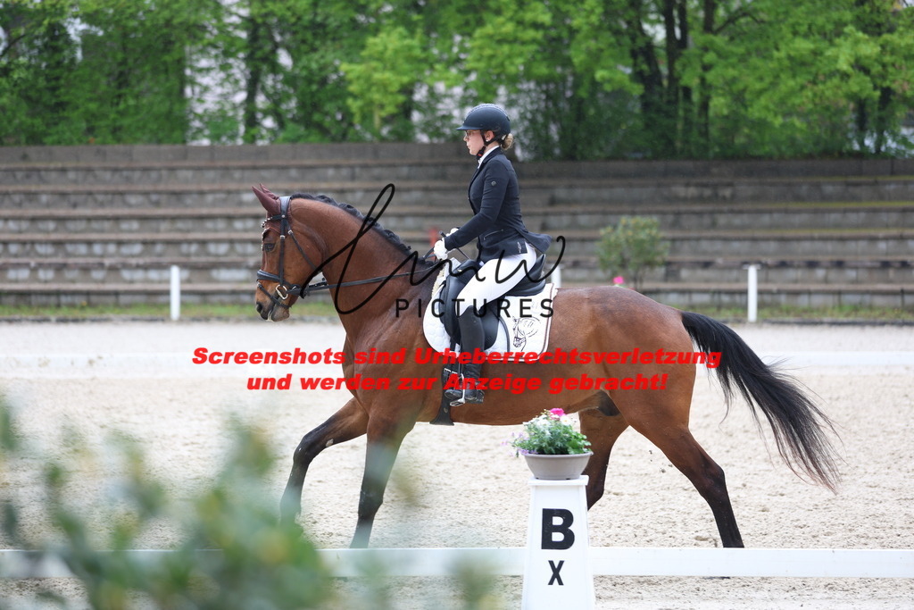 A40A8641 | lmwpictures - Realisiert mit Pictrs.com